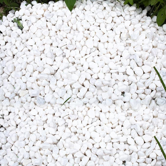 45lb White Rocks for Plants,Potting,Succulents Aquarium Fish Tank Garden Vases Decorative Pebbles Gravel Rocks Stones