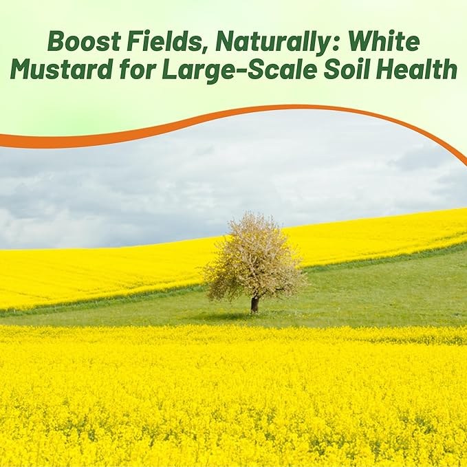 Outsidepride White Mustard Seeds for Planting - 10 lb Annual Cover Crop Seeds w/Deep Root System, High Protein Forage, Ideal for Soil Fertility, Crop Rotations, & Livestock Nutrition