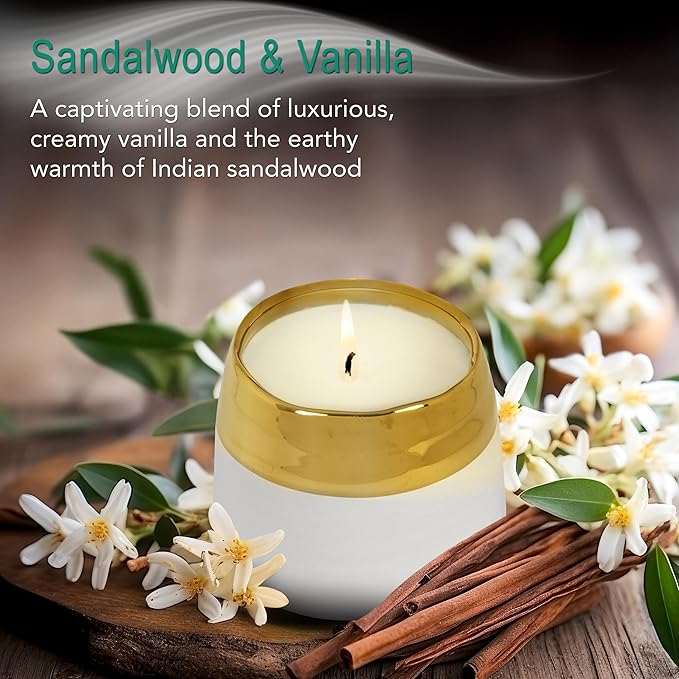The Growing Candle, Sandalwood & Vanilla Scented, 10oz Ceramic Pot, Aromatherapy Candles for Home, 100% Soy, Clara