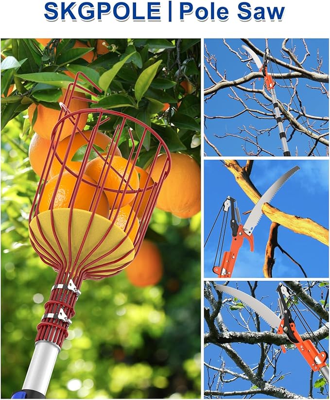 26FT Reach Pole Saw, Telescoping Tree Trimmer with 5-20FT Extension Pole, Sharp Steel Blade and Scissors, Fruit Picker, Extendable Long Handle Tree Pruner for Yard Garden Trees Palms Shrubs