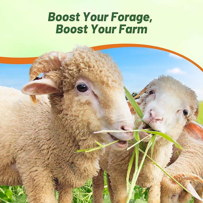 Outsidepride Dundale Spring Field Peas Seeds - 1 lb. Annual, High-Protein Legume & Cover Crop Seeds for Forage, Food Plot, Gardens & Pastures - Ideal for Improving Soil Health, & Erosion Control