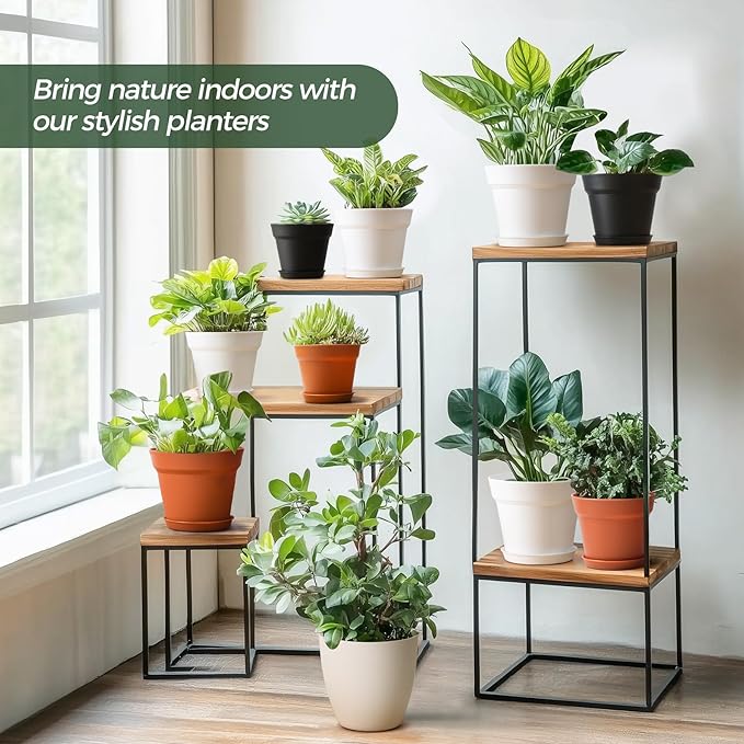 T4U 6 Inch Plant Pot 8-Pack, Plastic Planter with Drainage Hole and Saucer, Decorative Nursery Pots Bulk for African Violet, Snake Plant, Succulent, Herb and Plants Indoor (8 Pcs 6" Pots, Black)