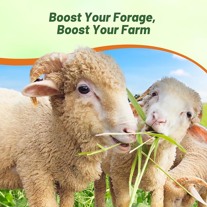 Outsidepride Dundale Spring Field Peas Seeds - 10 lbs. Annual, High-Protein Legume & Cover Crop Seeds for Forage, Food Plot, Gardens & Pastures - Ideal for Improving Soil Health, & Erosion Control