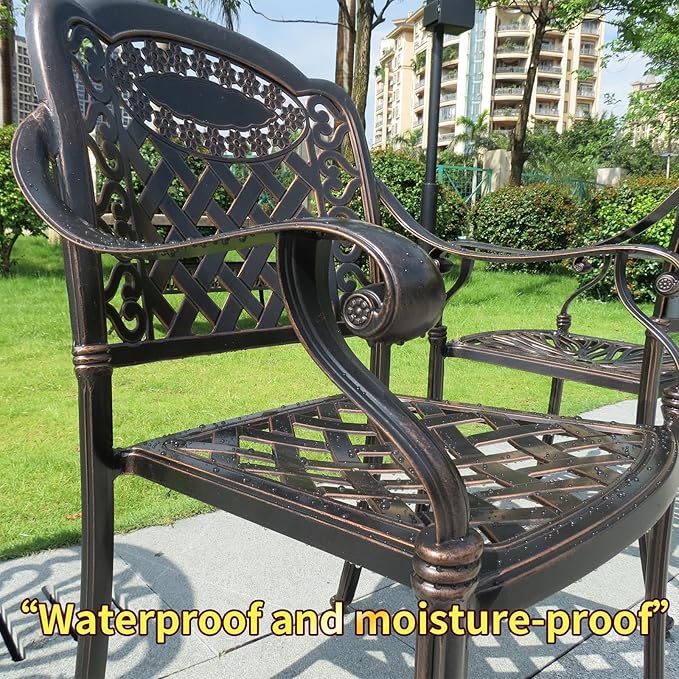 Outdoor Dining Chair Cast Aluminum Patio Chairs Set of 2 All-Weather Patio Dining Chair with Adjustable Feet for Backyard Garden (Positive Lattice Landscape Chair)
