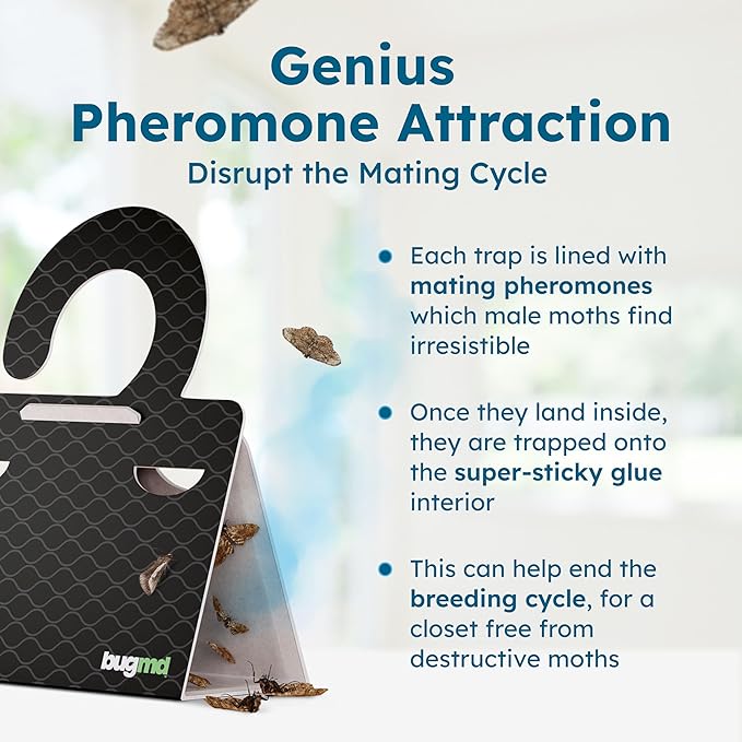 Clothes & Pantry Moth Traps (6 Count) – Sticky Glue Pheromone-Based Repellent for Closets, Cabinets & Wardrobes – Non-Toxic - Black