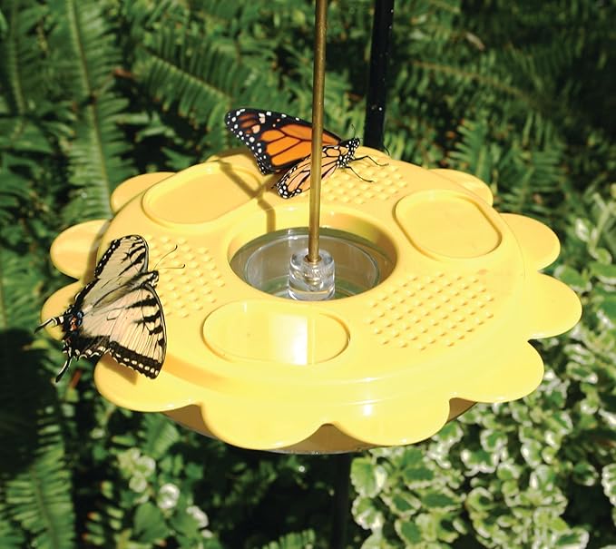 Birds Choice Flutterby Butterfly Feeder – Outdoor Feeder with 12 oz. Nectar Capacity and Fruit Trays, Includes Brass Hanging Rod