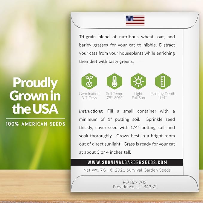 Cat Grass Seed for Planting - Packet with Instructions to Plant & Grow Greens for Your Pet Indoors or Outdoors in a Container or Garden - Non-GMO Heirloom Variety - Survival Garden Seeds