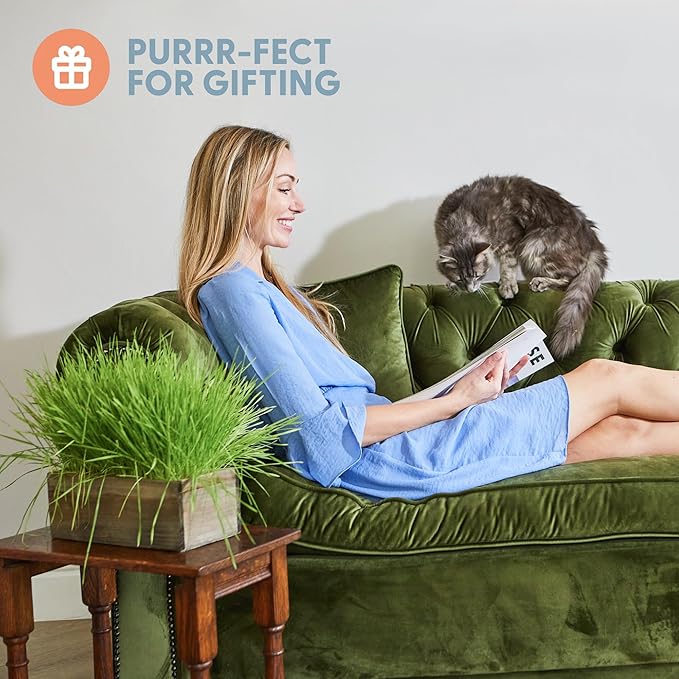 The Cat Ladies Cat Grass Kit Complete with Rustic Wood Planter, Organic Seed and Soil. Easy to Grow - Great for Indoor or Outdoor Cat, Dogs and Other Pets. Prevent Hairballs and Aid Digestion…