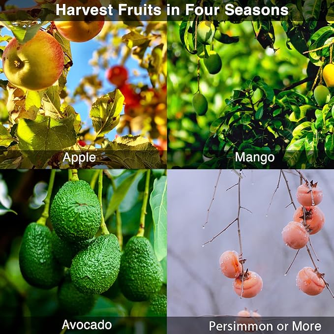 DonSail Fruit Picker Pole Tool with Basket Telescoping - Adjustable Mango Picker 35-120 inch Long Handle - Apple Orange Avocado Acorn Lemon Pear Pomelo Chery Picker for Tree