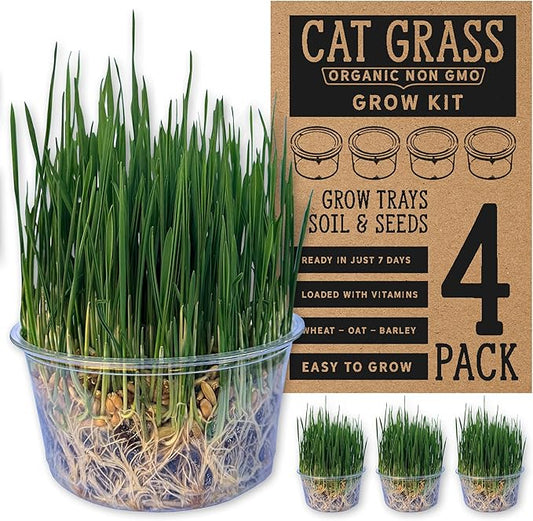 Organic Cat Grass Premium Grow Kit 4 Pack | Non GMO Mixed Heirloom Seeds | Wheatgrass - Oat Grass - Barley Grass Blend