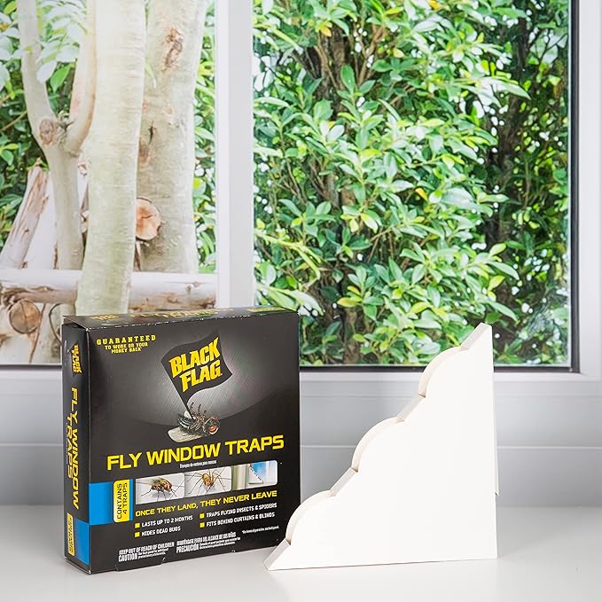 Black Flag, Fly Window Trap, 4-count, Clear