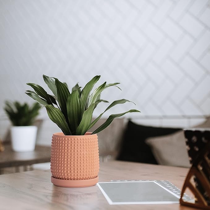 D'vine Dev 4 Inch Terracotta Beaded Planter Pot - Flower Pot with Drainage Holes and Saucers for Indoor Succulent Plants or Flowers,Terracotta, 27-C-Z-7