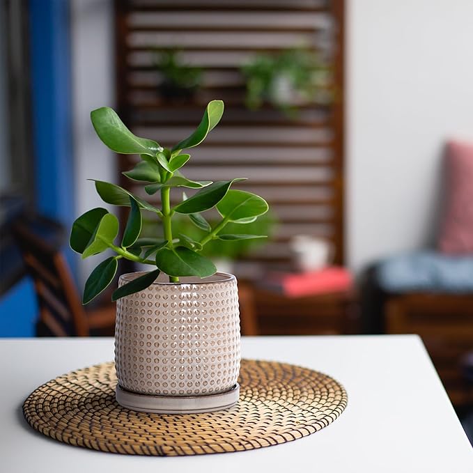 D'vine Dev 4 Inch Ceramic Beaded Stoneware Planter Pot - Flower Pot with Drainage Holes and Saucers for Indoor Succulent Plants or Flowers, Light Brown, 27-C-Z-4