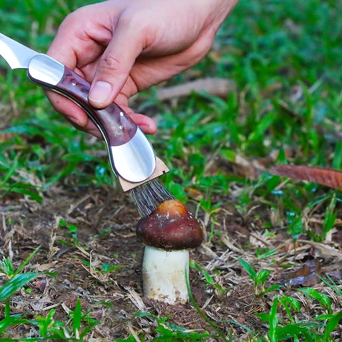 Mushroom Foraging Knife - Folding Knife with Brush and Sheath for Mushroom Lovers