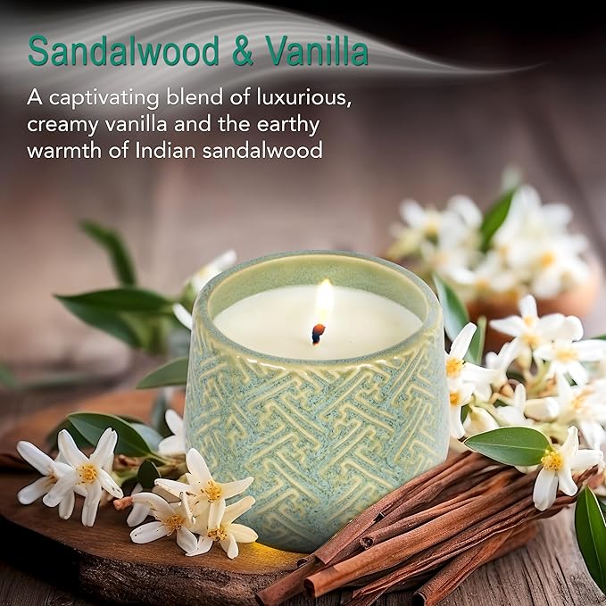 The Growing Candle, Sandalwood & Vanilla Scented, 10oz Ceramic Pot, Aromatherapy Candles for Home, 100% Soy, Ida