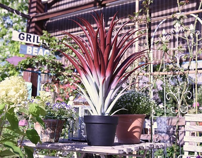SUNPRAIRIE Hyper Realistic Big Red Artificial Aloe Vera Plant 26 Inches Tall. Large Faux Agave in Matte Black Pot.