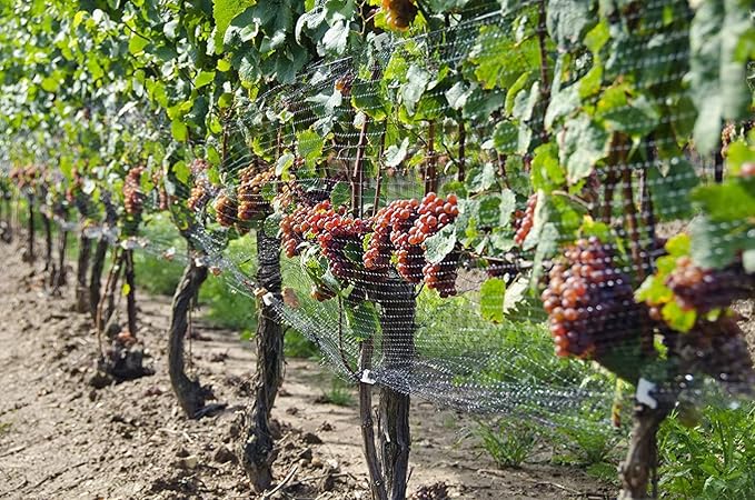 CandyHome Bird Netting for Garden, 13Ft x 33Ft Reusable Garden Netting Plants Barrier, Plant Mesh Net Protect Fruit Tree Seedlings Plants from Birds, Cicadas, Rodents, Black