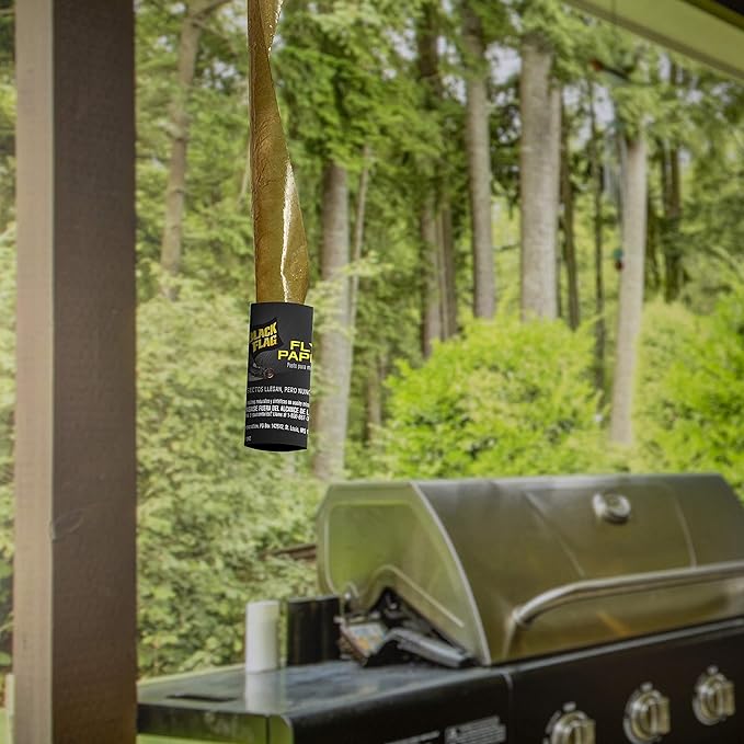 Black Flag Fly Paper, Insect Trap, Catches All Flying Insects 4 Traps