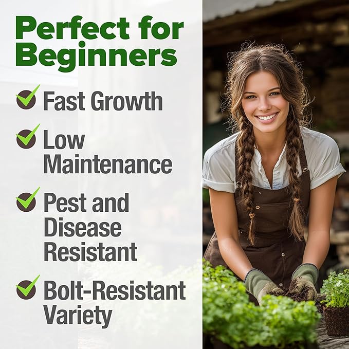 HOME GROWN 𝗨𝗦𝗔 𝗣𝗥𝗘𝗠𝗜𝗨𝗠 1000+ Cilantro Seeds for Planting Indoors or Outdoors - Non-GMO Heirloom Herbs, Coriander Plant Seeds - Complete Your Herb Seeds Collection for Your Indoor Herb Garden