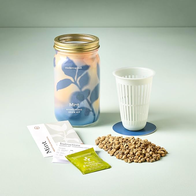 Modern Sprout Mason Garden Jar - Self-Watering Hydroponics Growing System Kit with Organic Herb Seeds - Jar Planter for Indoor Herb Garden - Seed Starter Kit - Home Decor & Gifting - Mint