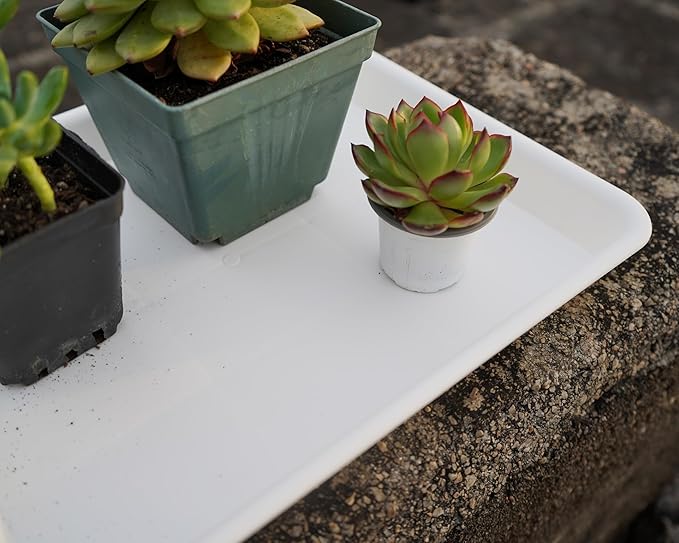 Plant Saucer Growing Tray, Seed Starter Tray Rectangular, Heavy Sturdy Plastic Plant Saucers Drainage Trays, Plant Drip Trays for Pots, Seed Starter Growing Tray (11 x 9 inch, 1 Pack)