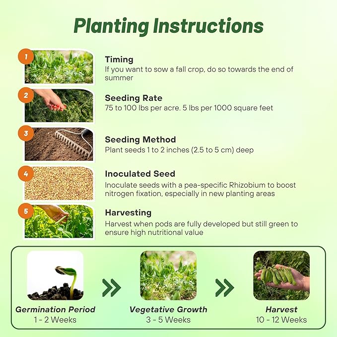 Outsidepride Dundale Spring Field Peas Seeds - 20 lbs. Annual, High-Protein Legume & Cover Crop Seeds for Forage, Food Plot, Gardens & Pastures - Ideal for Improving Soil Health, & Erosion Control