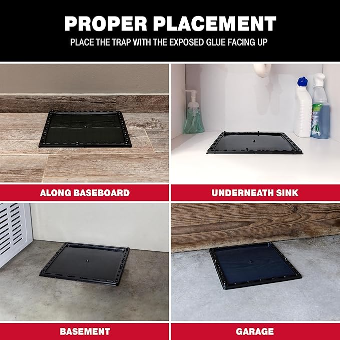 Catchmaster Jumbo Rat & Mouse Glue Traps 6Pk, Large Bulk Glue Board Rat & Mouse Traps Indoor for Home, Adhesive Plastic Tray for Snakes, Mice, & Spiders, Pest Control for House & Garage