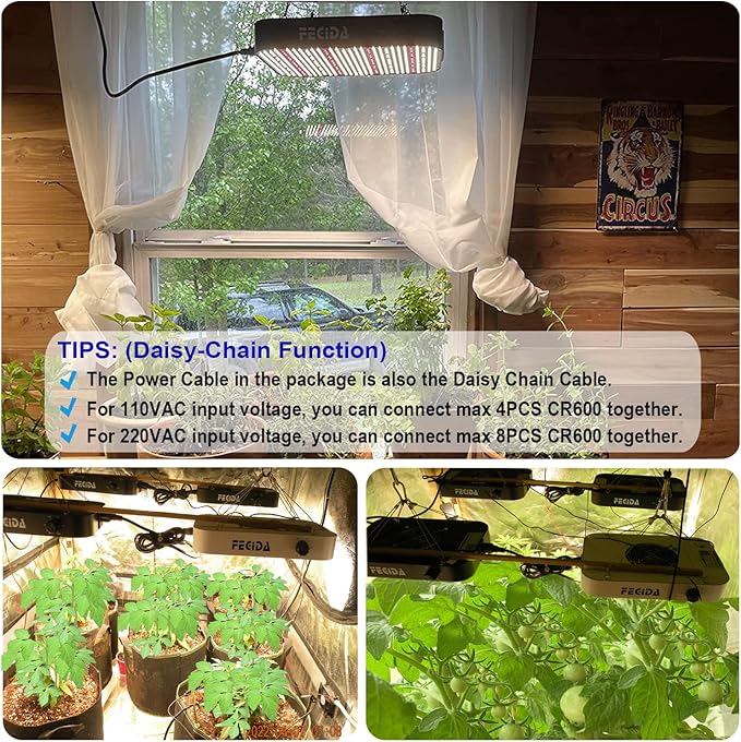 FECiDA LED Grow Light Full Spectrum 65 Watt Actual Power, 2025 Upgrade High Output Dimmable Grow Lights for All Indoor Plants, Seed Starting, Seedlings, Vegetables, Daisy Chain Function, Built-in Fan