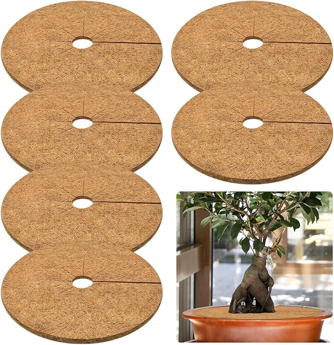 ZeeDix 6 Pack Coconut Fiber Mulch Ring, 24 Inch Coco Coir Tree Ring Mulch Mat, 100% Natural Tree Protector Mat Plant Cover Ring Coconut Coir Discs Tree Mats Mulch Rings for Indoor Outdoor Trees Plants