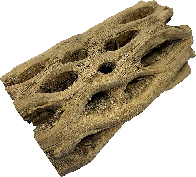 Awesome Aquatic up to 2 in Thick XL Teddy Bear/Chain Fruit/Buckhorn/Staghorn Cholla Wood Hollow Tube Wood Cactus Skeleton Tubes (6 in x up to 2 in)