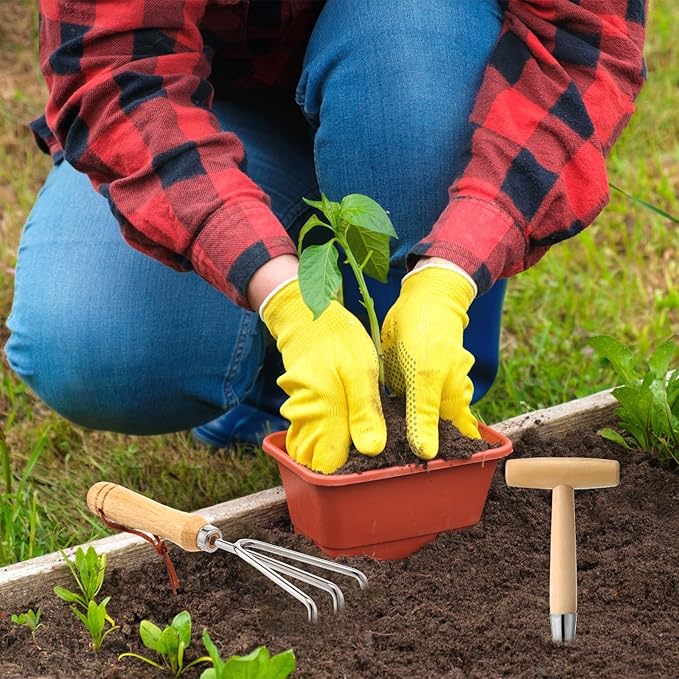 Lasnten 5 Pcs Garden Tool Set, Heavy Duty Gardening Tools with Hand Dibber, Hand Crack Weeder, Transplanter, Big Trowel, 3-Claw Cultivator for Planting Flowers, Gardening Gifts for Women and Men