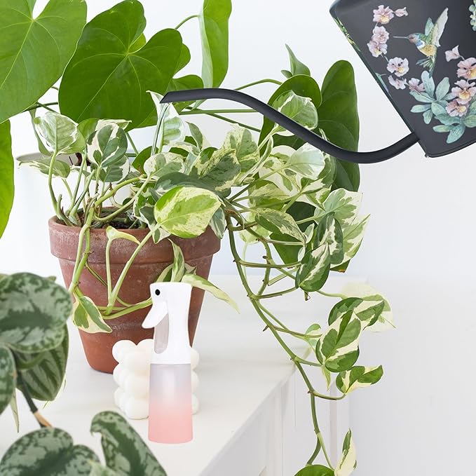 Watering Can for Indoor House Plants - Cute Decorative Metal Gardening Small Water Can for Houseplants & Flowers with Long Spout - 1.5L 51floz 0.4 Gallon (Hummingbird Black)