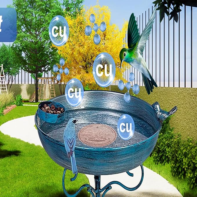 1-Pack 99.99% Pure Copper Bird Bath Purification Disk,Copper Disc with Stable Triple-Point Support,Fits All Outdoor Bird Baths(Round)