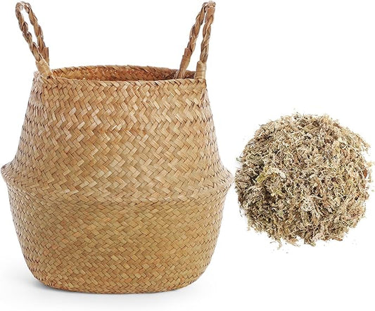 1 Pack Large Wicker Plant Basket with Handle 10 Inch Woven Seagrass Belly Basket and Artificial Moss for Plants Picnic Grocery Laundry House Storage Home Decor (Large)