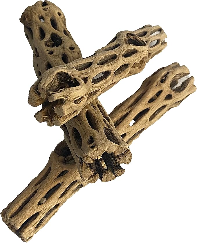 Awesome Aquatic Natural Cholla/Choya Wood 3 Pieces 6” for Shrimp Habitat and Food Treat Hermit Crabs Plecos Aquarium Decoration Lowers pH Hideouts and Chew Toys Reptiles Thorn Free Dried Organic