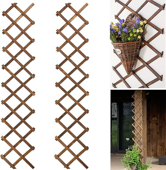 Wooden Lattice Wall 2Pack-Expandable Plant Garden Trellis for Climbing Plants Outdoor Air Plant Vertical Rack Wall Decor for Room Patio