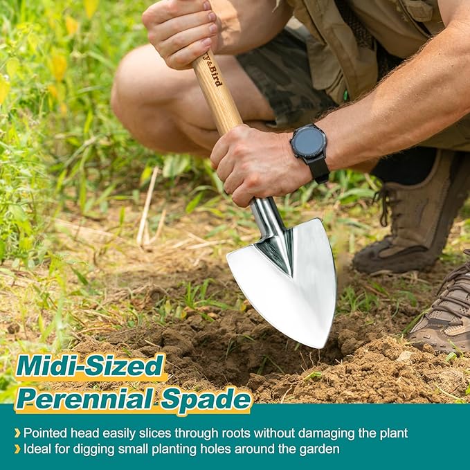 Berry&Bird Perennial Spade, 21.6''Long Trowel for Gardening Root Cutting Tool with Sharp Stainless Steel Blade, Wooden Handle Small Shovel Hand Edger Garden Tool for Planting, Digging & Transplanting