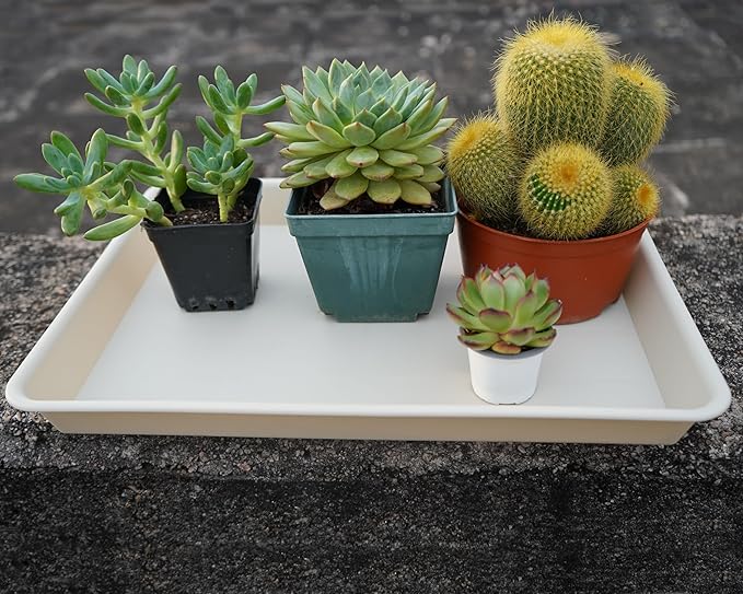 Rectangle Plant Tray, Plant Drip Tray, Plant Pot Saucers, Plant Germination Trays, Plant Saucers, 11'' x 9'' x 1.2'' (2 pack), Beige