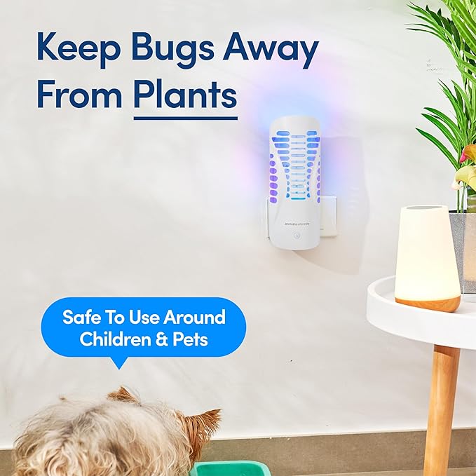 Fruit Fly Traps for Indoors (1 Device + 5 Refills) - Flying Insect Trap Plug in Bug Zapper Indoor, Gnat Trap and Mosquito Trap, Bug Catcher Traps with UV Light Fly Trap Indoor Bug Zapper