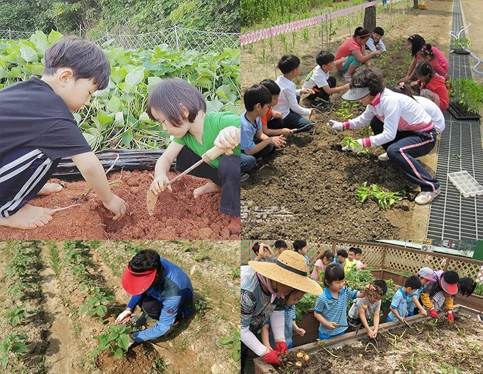 SERENITA Lawn Grass Edger Hoe Garden Tool Weeding Tools for Garden. Homi Korean Plow Easy Digger with Blade. Less Effort Easy Farming Tool