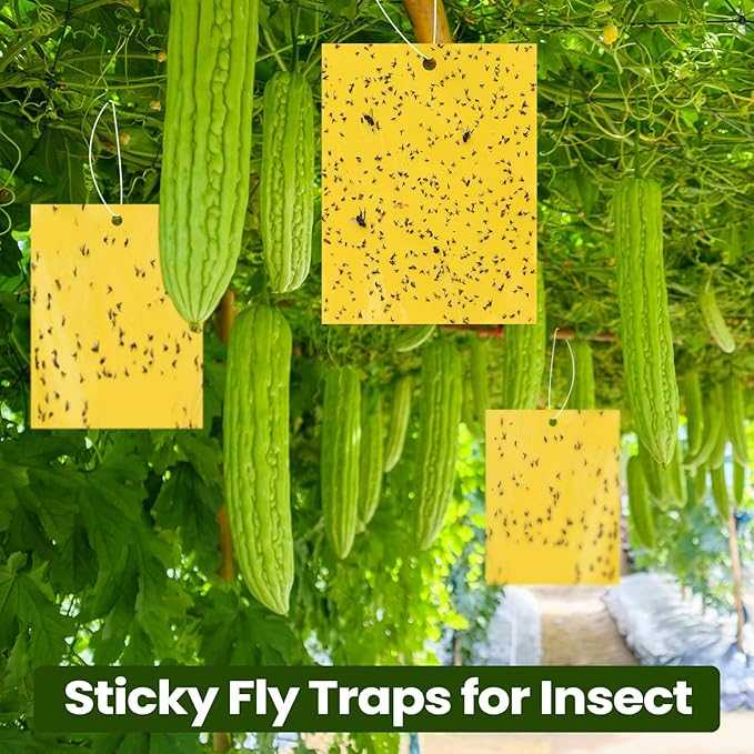 Qualirey 250 Pcs 6 x 8 Inch Sticky Traps for Plant Double Sided Sticky Trap for Gnats with Twist Ties Fly Traps for Fruit Insect Fungus Bugs Indoor Outdoor (Yellow)