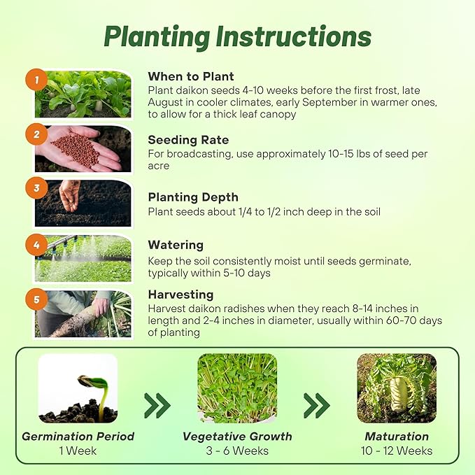 Outsidepride Annual Daikon Radish Seeds - 10 lbs. Chinese, Japanese, & Oriental Radish Seeds for Soil Health, Erosion Control, & Soil Aeration - Ideal for Gardens, Cover Crops, Pastures, & Food Plots