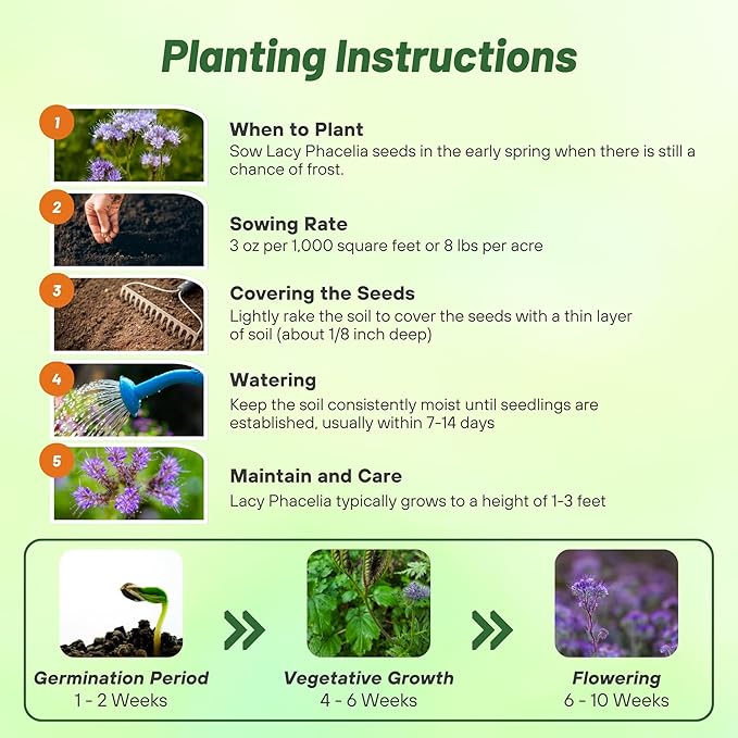 Outsidepride Lacy Phacelia Seeds for Planting - 5000 Pcs Annual, Drought-Tolerant Wildflower Seeds w/Light Violet Flowers, Ideal for Pollinator Gardens, Erosion Control, & Attracts Bees & Butterflies