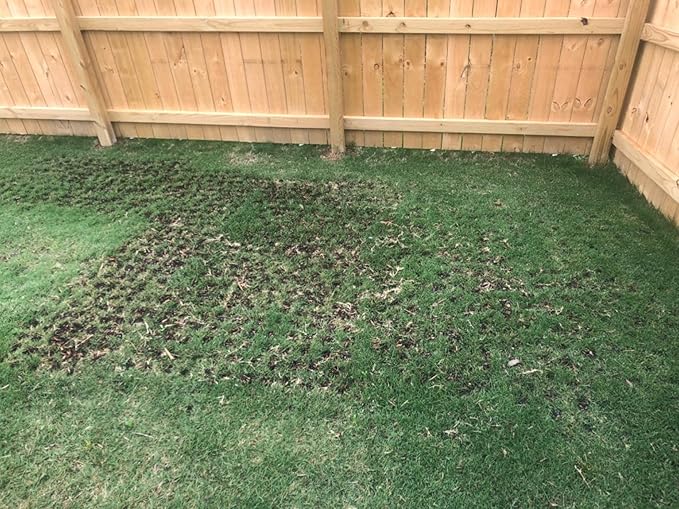 Edward Tools 5 in 1 Long Handle Garden Tool - Sturdy Steel Pro Grade Bulb Planter, Long Handle Weeder, Sod Plugger, Soil Probe, Transplanter - Step, Twist, Pull - Multi Depth Options