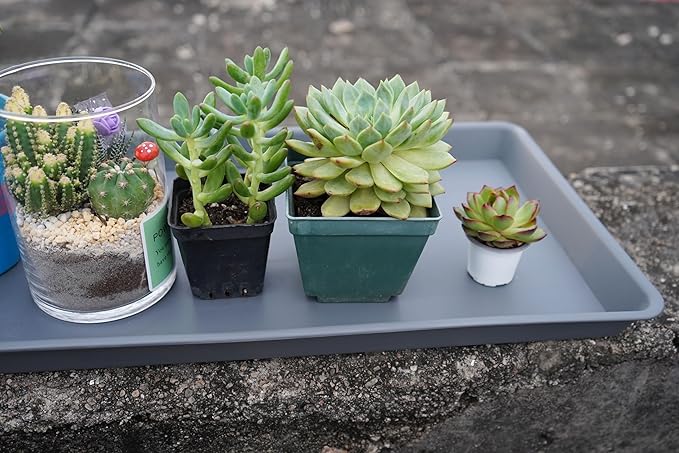 Rectangle Plant Tray, Plant Drip Tray, Plant Pot Saucers, Plant Germination Trays, Plant Saucers, 11'' x 9'' x 1.2'' (2 pack), Gray