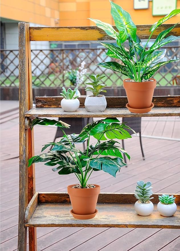 2 Pack Large Terracotta Pots with Saucer for Plants, 8 Inch Terra Cotta Plant Pot with Drainage Hole, Clay Flower Planter Pot with Tray for Indoor Plant