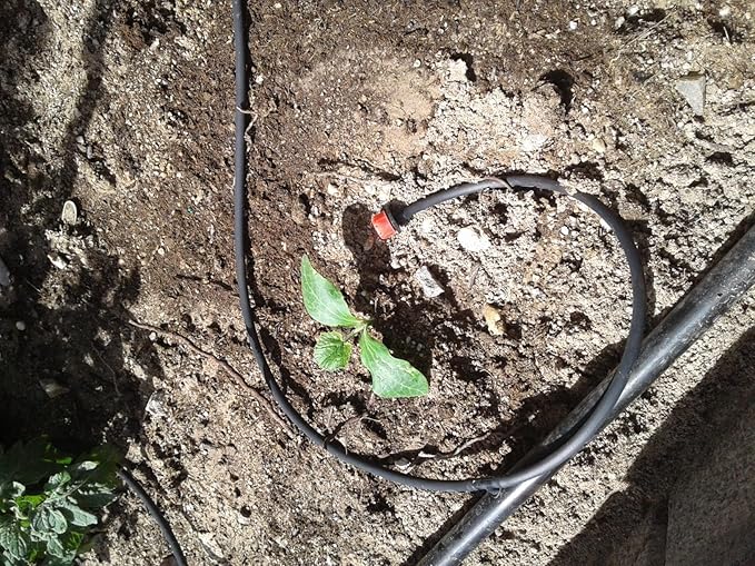 Rocky Mountain Goods Drip Irrigation Tubing - Heavy Duty Blank Drip Hose Ready for Custom Drip Irrigation Setup - Works with 1/4” Barbed Fittings - Black PVC - Easy to Use (100 Foot 1/4")