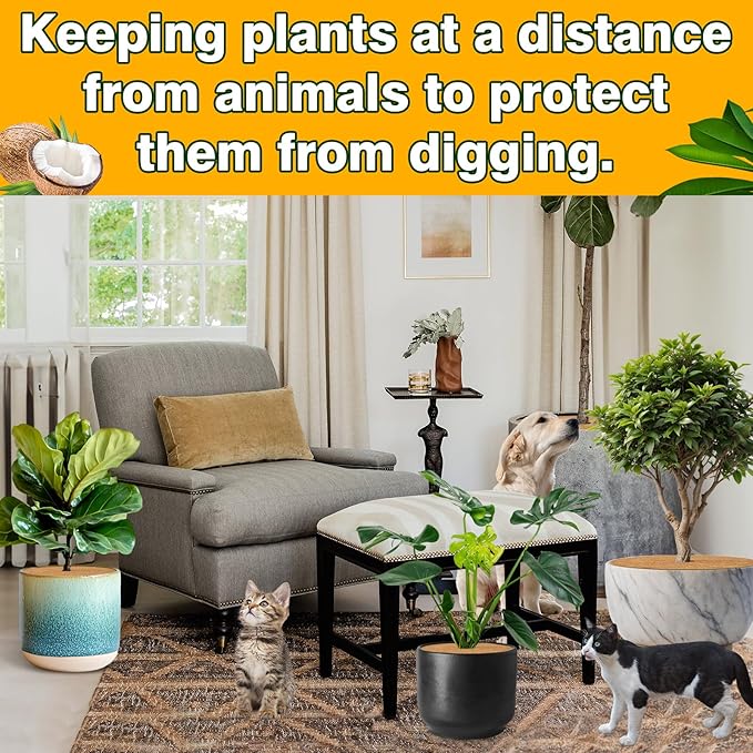 ZeeDix 10 Pack 6 Inch Coconut Fiber Mulch Ring, 100% Natural Coco Coir Tree Ring Mulch Mat Plant Protector Mat, Coconut Coir Discs Plant Pot Soil Cover for Indoor Outdoor Plants, Flower Pot Decoration