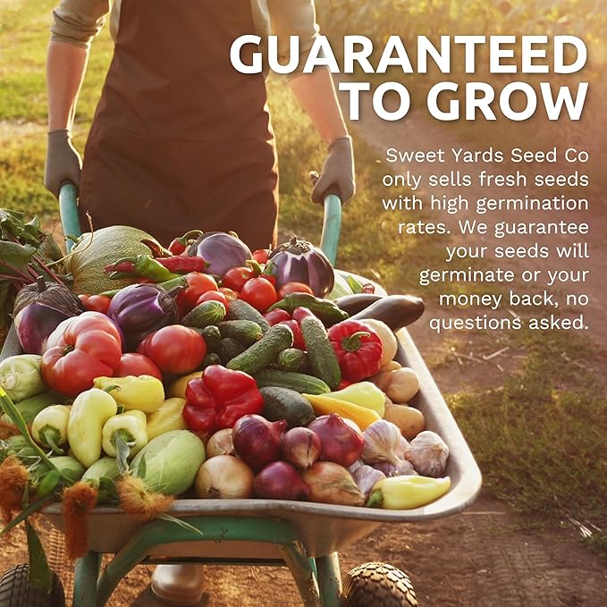 Organic Seeds Essential Variety Pack - 10 Individual Packs - 2025 Season - Summer Squash, Cherry Tomatoes, Arugula, Broccoli and More! for Indoor & Outdoor Planting (Non-GMO, Certified Organic)