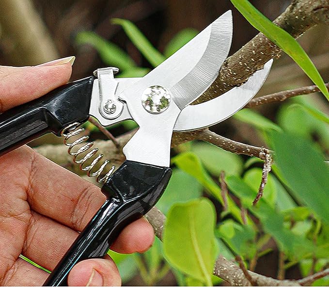 Garden Flower Shears Pruning Shears 6.9 inches Scissors Heavy Duty Plant Scissors for Cutting Flowers, Trimming Plants, Bonsai, Fruits Picking (Black Handle)